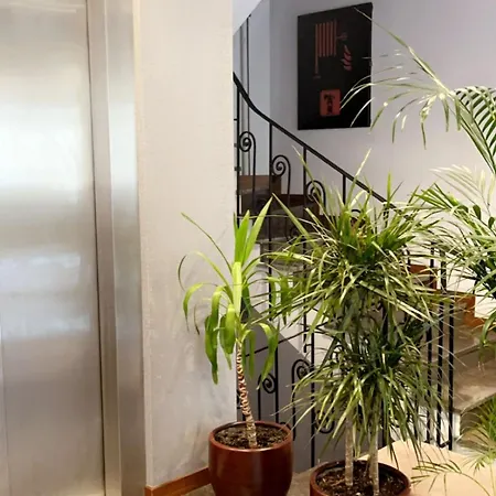 Palmera Hagia Sophia