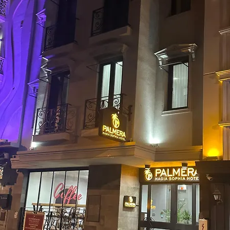 Palmera Hagia Sophia *