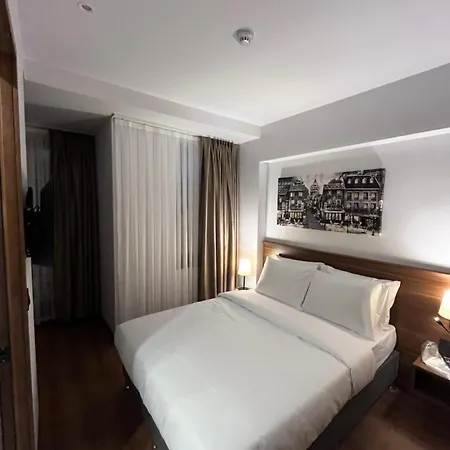 Palmera Hagia Sophia イスタンブール